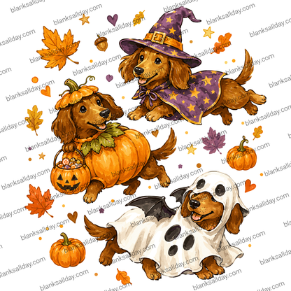 Three cartoon dachshunds dressed in Halloween costumes on a white background with scattered autumn leaves and pumpkins. One dog wears a purple witch hat and cape, one wears an orange pumpkin costume with a small pumpkin basket, and one wears a white ghost costume with black spots.